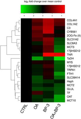 Synergistic and antagonistic interactions of oxybenzone and ocean acidification: new insight into vulnerable cellular processes in non-calcifying anthozoans